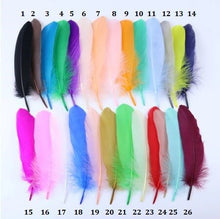Load image into Gallery viewer, Feather colour chart