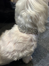 Load image into Gallery viewer, Personalised Luxury Velvet Dog Collar: Silver Rhinestones & Pearls, Wedding Pet Collar