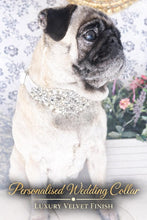 Load image into Gallery viewer, Personalised Luxury Velvet Dog Collar: Silver Rhinestones & Pearls, Wedding Pet Collar