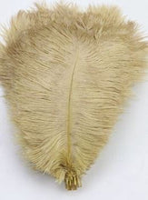 Load image into Gallery viewer, Ostrich feathers 5pcs at 15cm - 20cm in length
