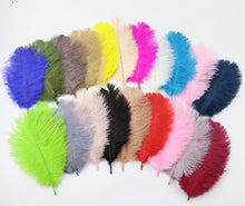 Load image into Gallery viewer, Ostrich feathers 5pcs at 15cm - 20cm in length
