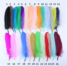 Load image into Gallery viewer, Feather colour chart
