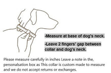 Load image into Gallery viewer, Personalised Luxury Velvet Dog Collar: Silver Rhinestones &amp; Pearls, Wedding Pet Collar
