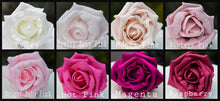 Load image into Gallery viewer, Crystal brooch buttonhole with Pearls &amp; Foam roses by Crystal wedding uk
