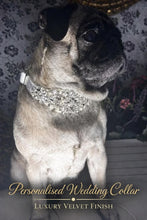 Load image into Gallery viewer, Personalised Luxury Velvet Dog Collar: Silver Rhinestones &amp; Pearls, Wedding Pet Collar
