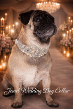 Load image into Gallery viewer, Personalised Luxury Velvet Dog Collar: Silver Rhinestones &amp; Pearls, Wedding Pet Collar
