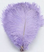 Load image into Gallery viewer, Ostrich feathers 5pcs at 15cm - 20cm in length
