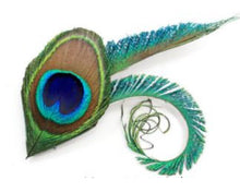 Load image into Gallery viewer, Peacock Sword Feather and small. Medium Large , hair fascinator. Buttonhole Boutonniere Wedding
