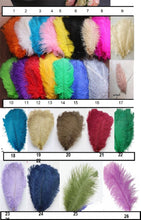 Load image into Gallery viewer, Brides Feather Fan bouquet , alternative  Bouquet,  Great Gatsby wedding style.
