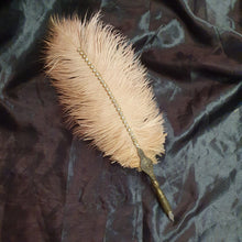 Load image into Gallery viewer, Ostrich Feather Quill Dip Pen Set . Matching Pen Stand for Weddings, Calligraphy, and Gifts

